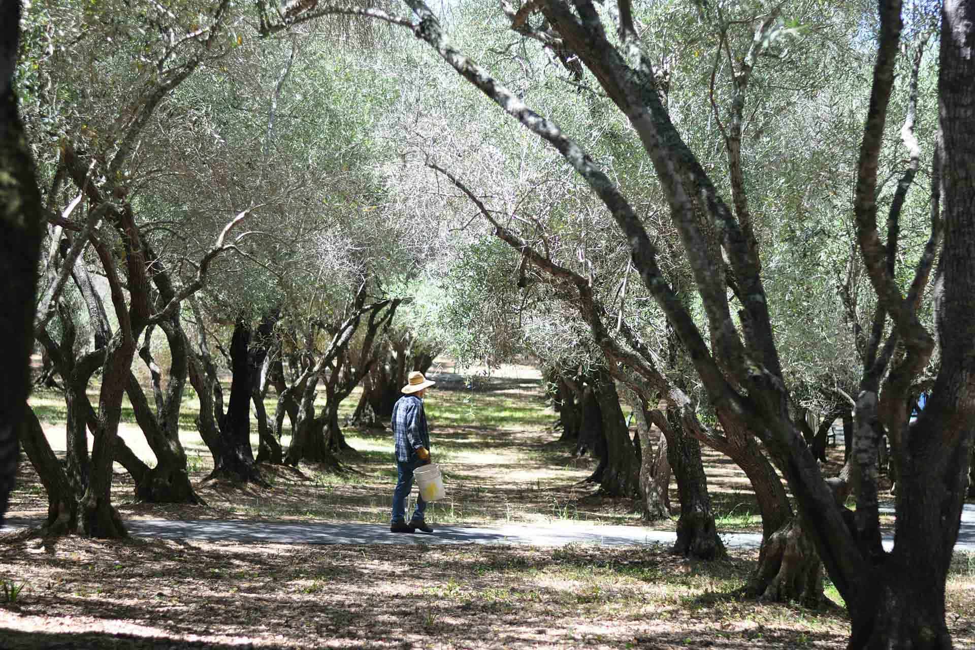 Grado Superior en Gestión Forestal y del Medio Natural Formación en el Colegio San Gabriel de Zuera