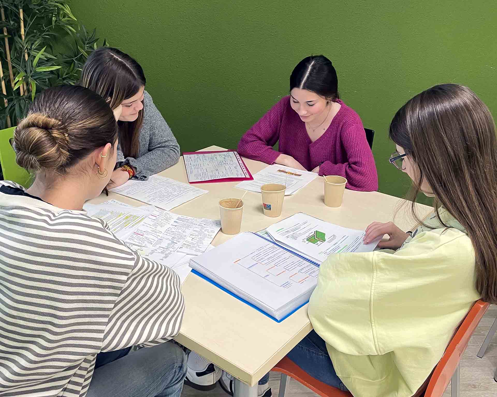 Bachillerato Humanístico Asigntauras y Salidas Colegio San Gabriel Zuera