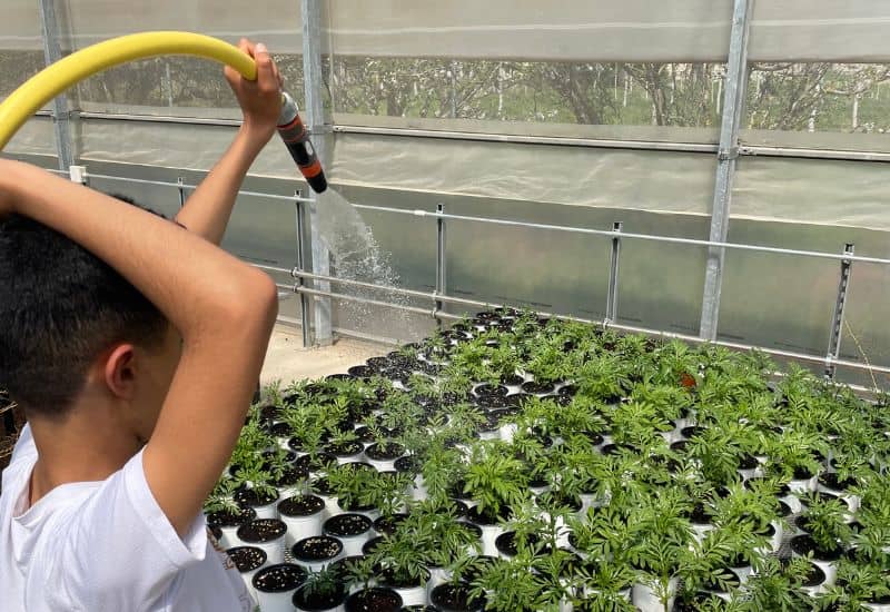 Alumno de Educación Infantil regando las plantas del huerto para trabajar la responsabilidad y el respeto por la naturaleza.