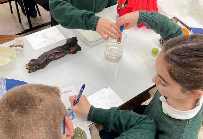 Alumnos de primaria del Colegio San Gabriel trabajando en equipo en un proyecto interdisciplinar fomentando la colaboración y autonomía.
