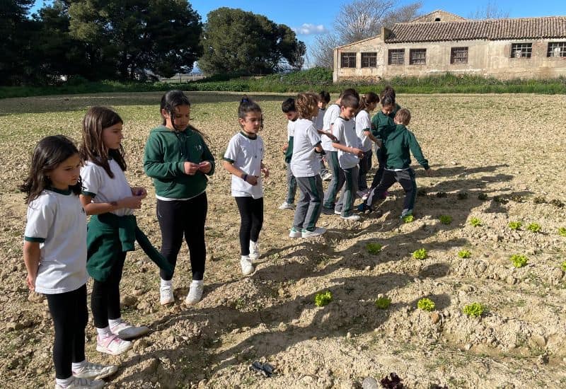 Grupo de niños de primaria realizando una actividad de observación y aprendizaje colaborativo en el huerto del centro.