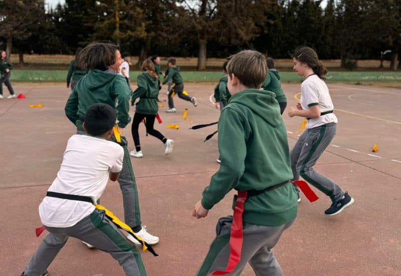 Grupo de alumnos de primaria disfrutando del juego libre en los espacios verdes y pinares del Colegio San Gabriel durante el tiempo de recreo.