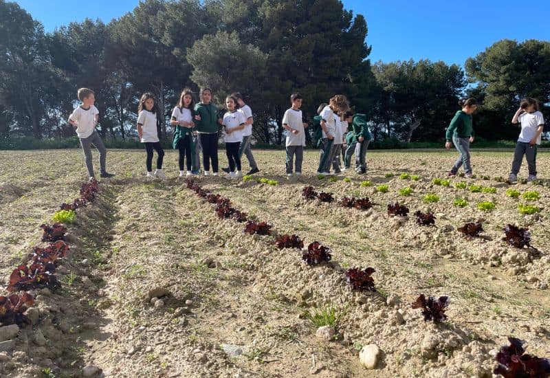 alumnos de San Gabriel realizando una actividad de observación y aprendizaje colaborativo en el huerto del centro.