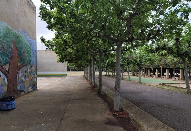 Vista general de las instalaciones deportivas al aire libre del Colegio San Gabriel en Zuera, Zaragoza, un espacio ideal para la práctica deportiva y el aprendizaje en la naturaleza.